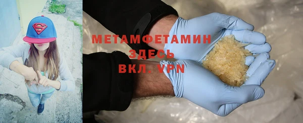 прущие грибы Иннополис