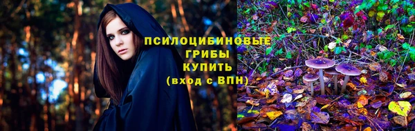 герыч Зеленокумск