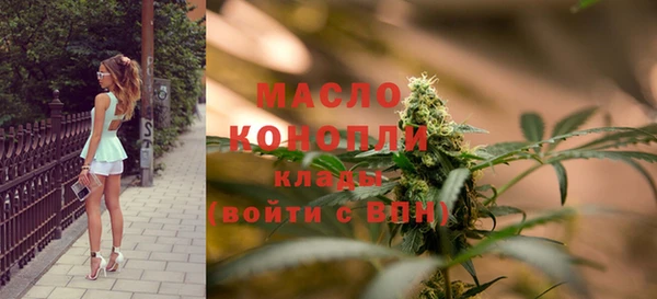 ешки Инта