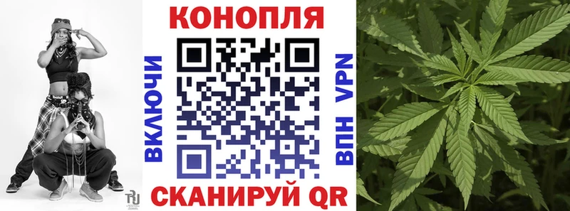 Бошки марихуана индика  Купить закладки  Дубовка 